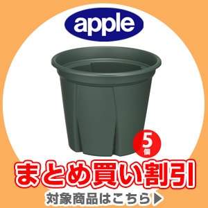 アップルウェアーまとめ買い6/30