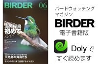 BIRDER電子版