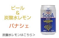 レモン炭酸水でパナシェ 炭酸水はこちら