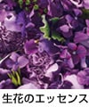生花のエッセンス