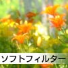 ソフトフィルター