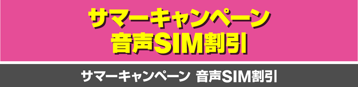 サマーキャンペーン音声SIM割引