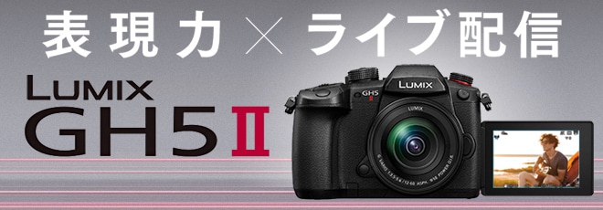 ヨドバシ Com パナソニック デジタルカメラ Lumix ビデオカメラ専門ストア