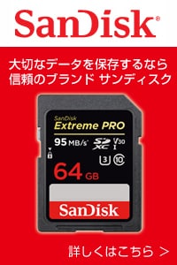 サンディスク