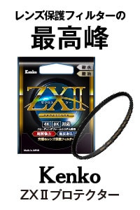 ZX II プロテクター