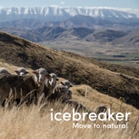 アイスブレーカー