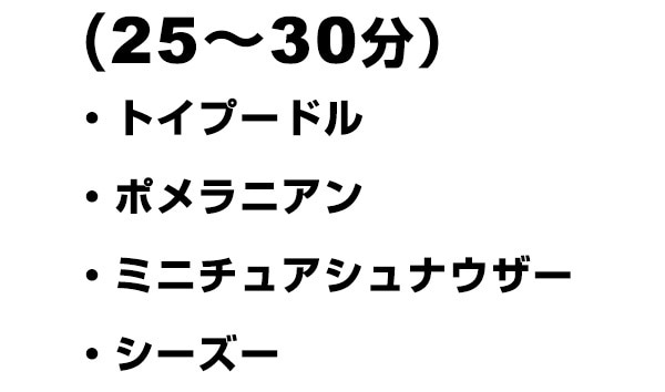 リスト3
