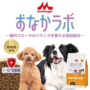 森乳サンワールド おなかラボ >