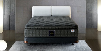 チタンコレクション