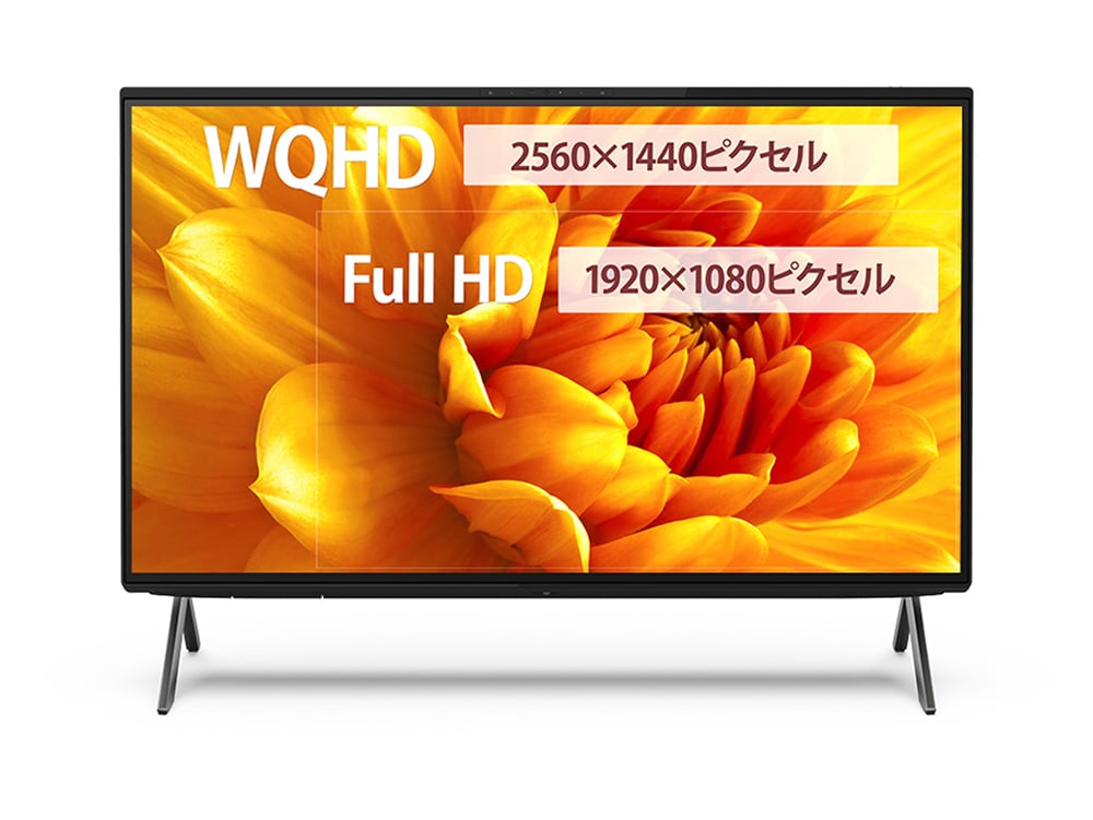 大画面をさらに広く使える高解像度(FH90/H2のみ)