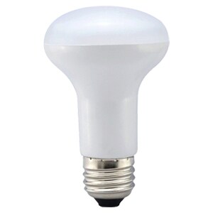 レフランプタイプ