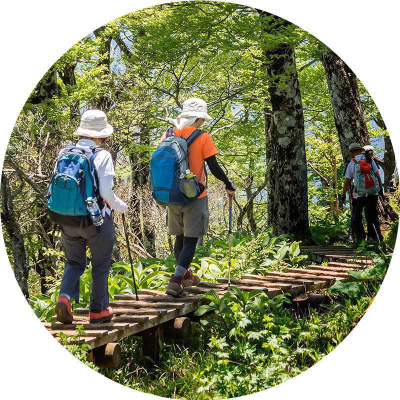 ハイキング・低山登山特集