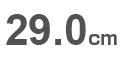 29.0cm